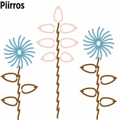 Signe-neulebonnetti Instruction 1