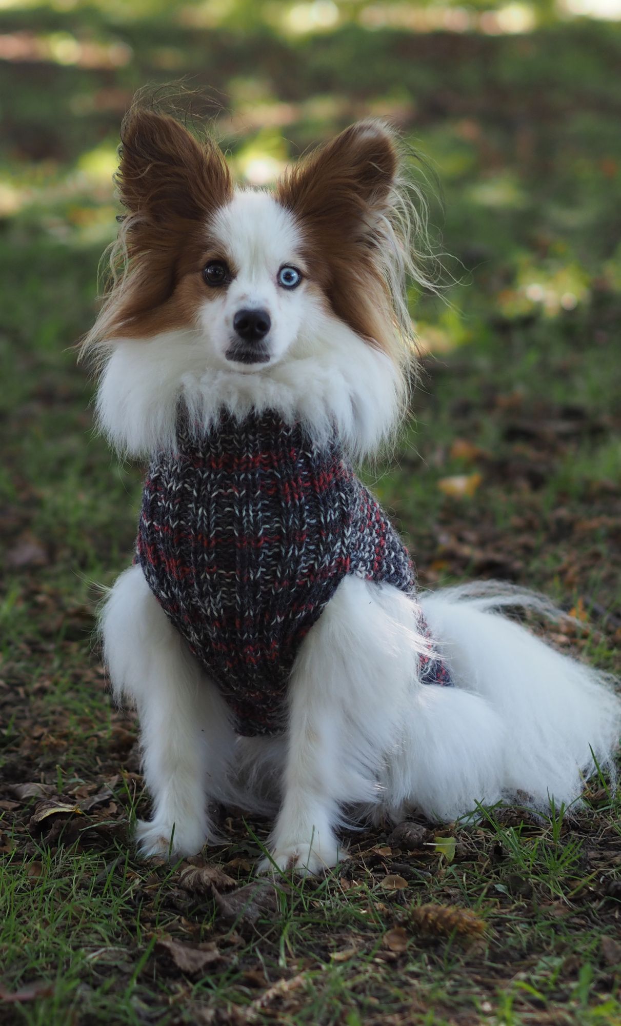 Knitted sweater for dogs Novita Nalle and Nalle Taika or Nalle Garden Example 2