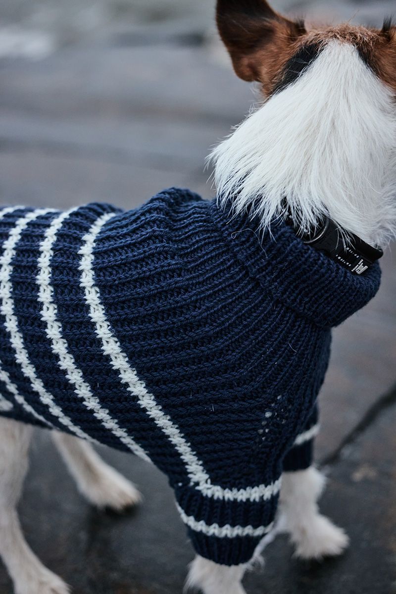 Novita Essentials: Skipper​ Dog​ Sweater Example 4