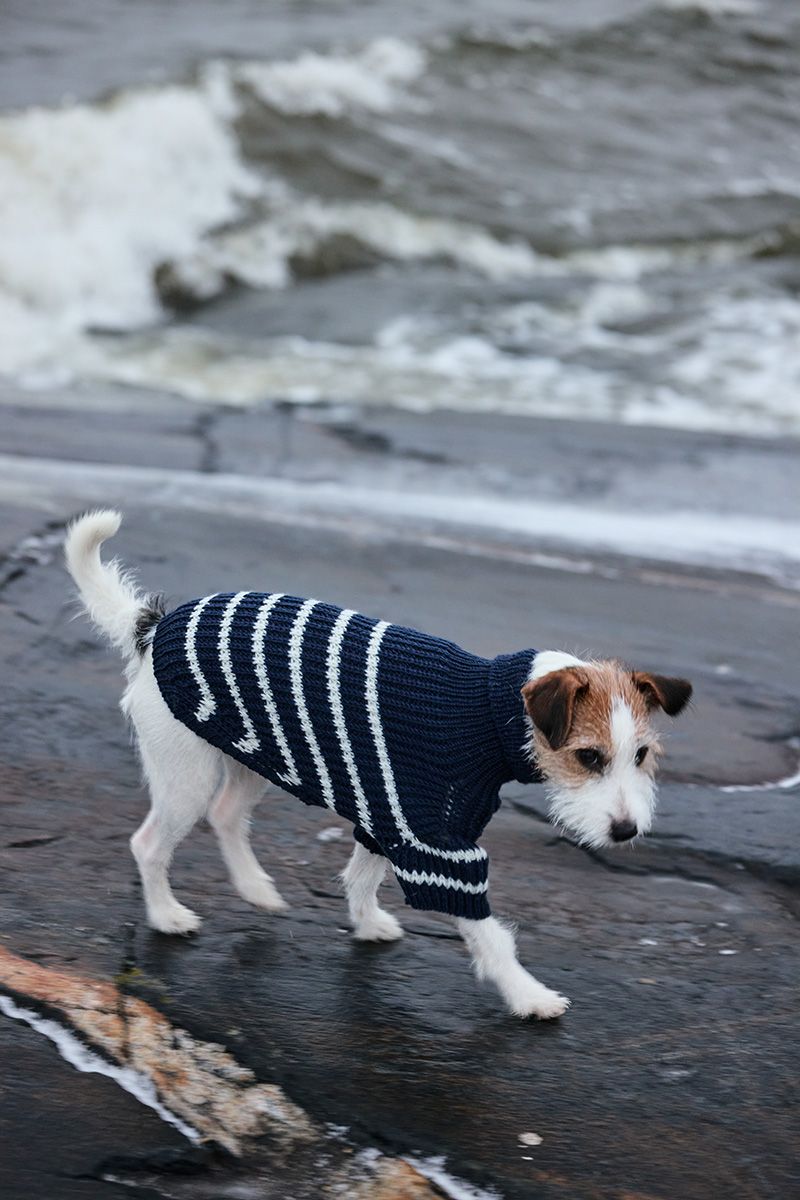 Novita Essentials: Skipper​ Dog​ Sweater Example 2