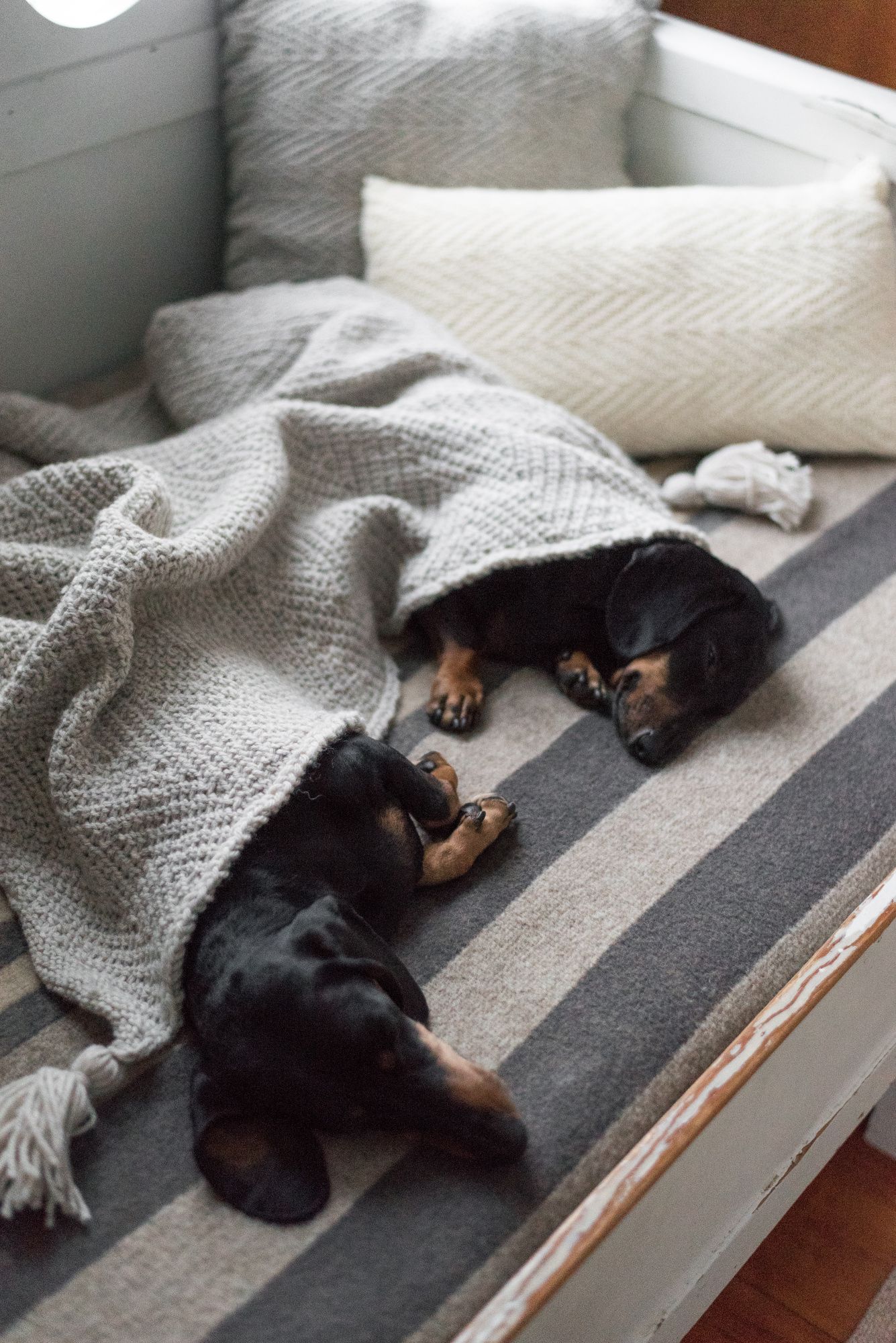 Novita Isoveli: Tähkä Herringbone blanket