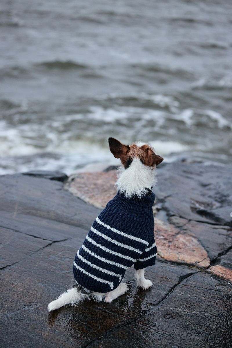 Novita Essentials: Skipper​ Dog​ Sweater Example 3