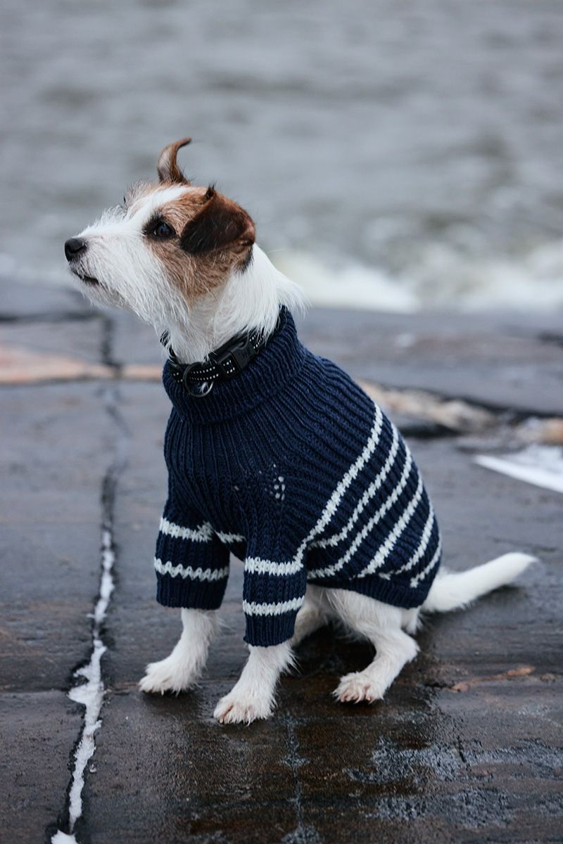 Novita Essentials: Skipper​ Dog​ Sweater