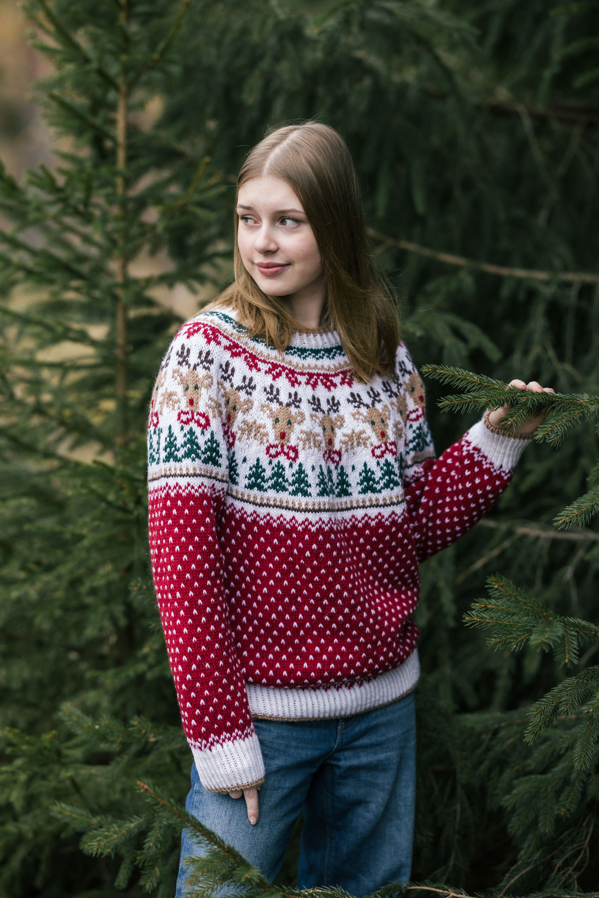 Christmas Knit-along: Rudolf Yoke Sweater