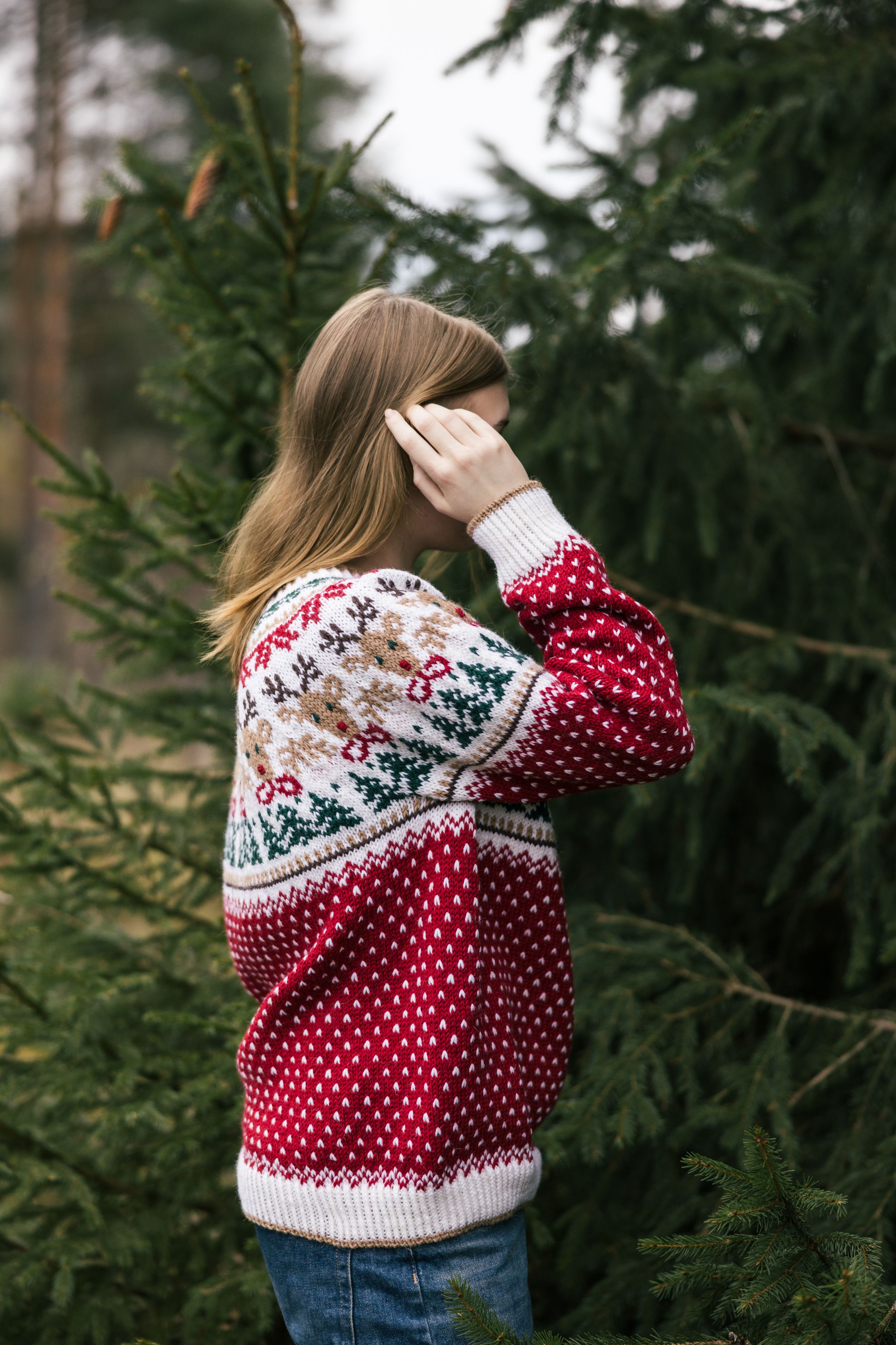 Christmas Knit-along: Rudolf Yoke Sweater Example 5