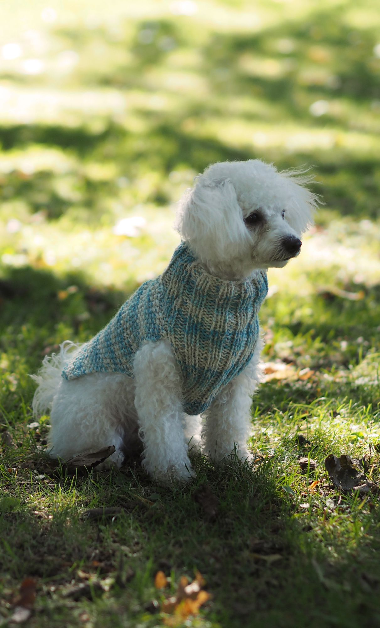 Knitted sweater for dogs Novita Nalle and Nalle Taika or Nalle Garden Example 3