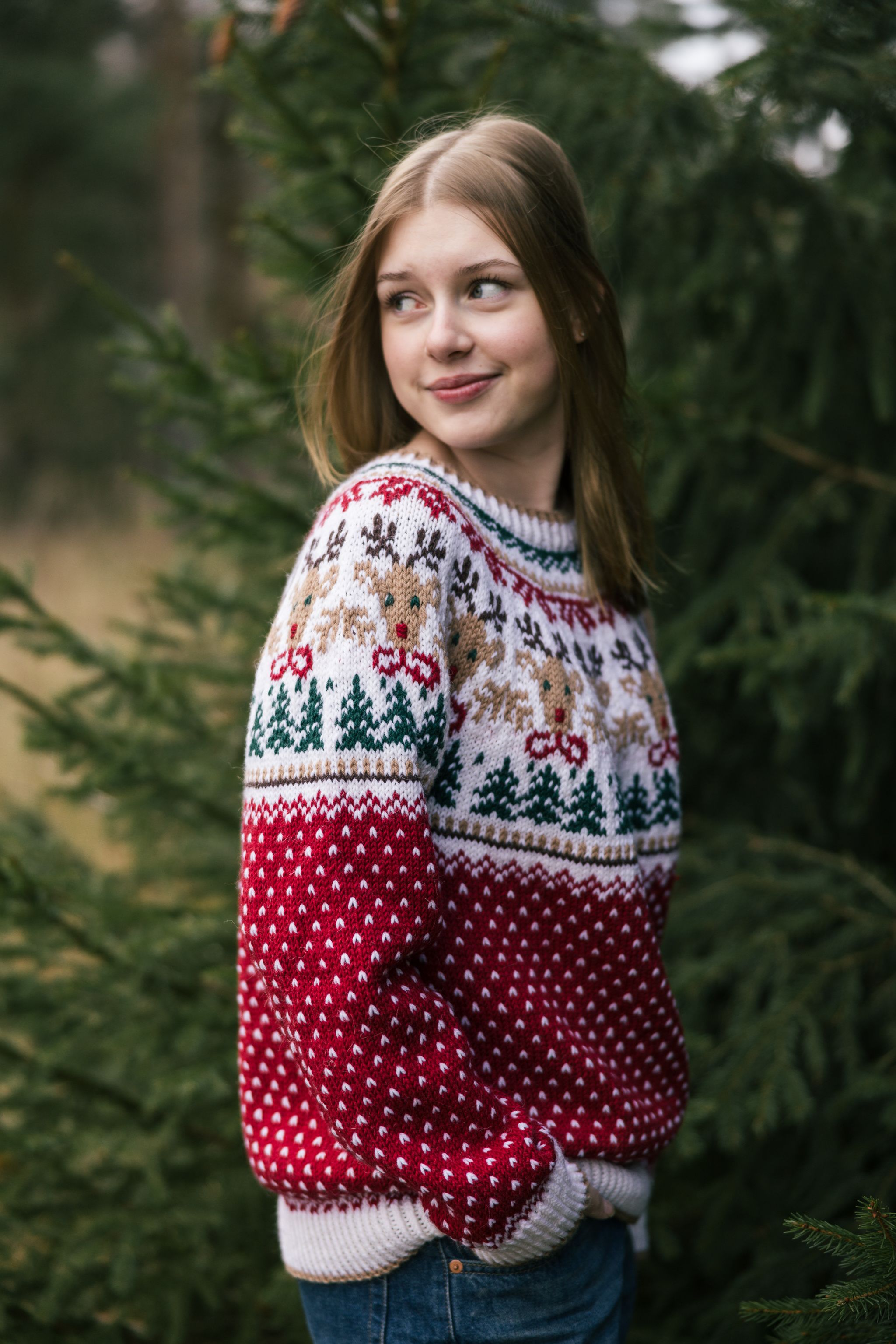 Christmas Knit-along: Rudolf Yoke Sweater Example 4