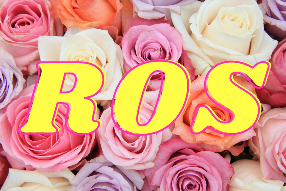 Et bilde av roser med tittel "ros" på. 