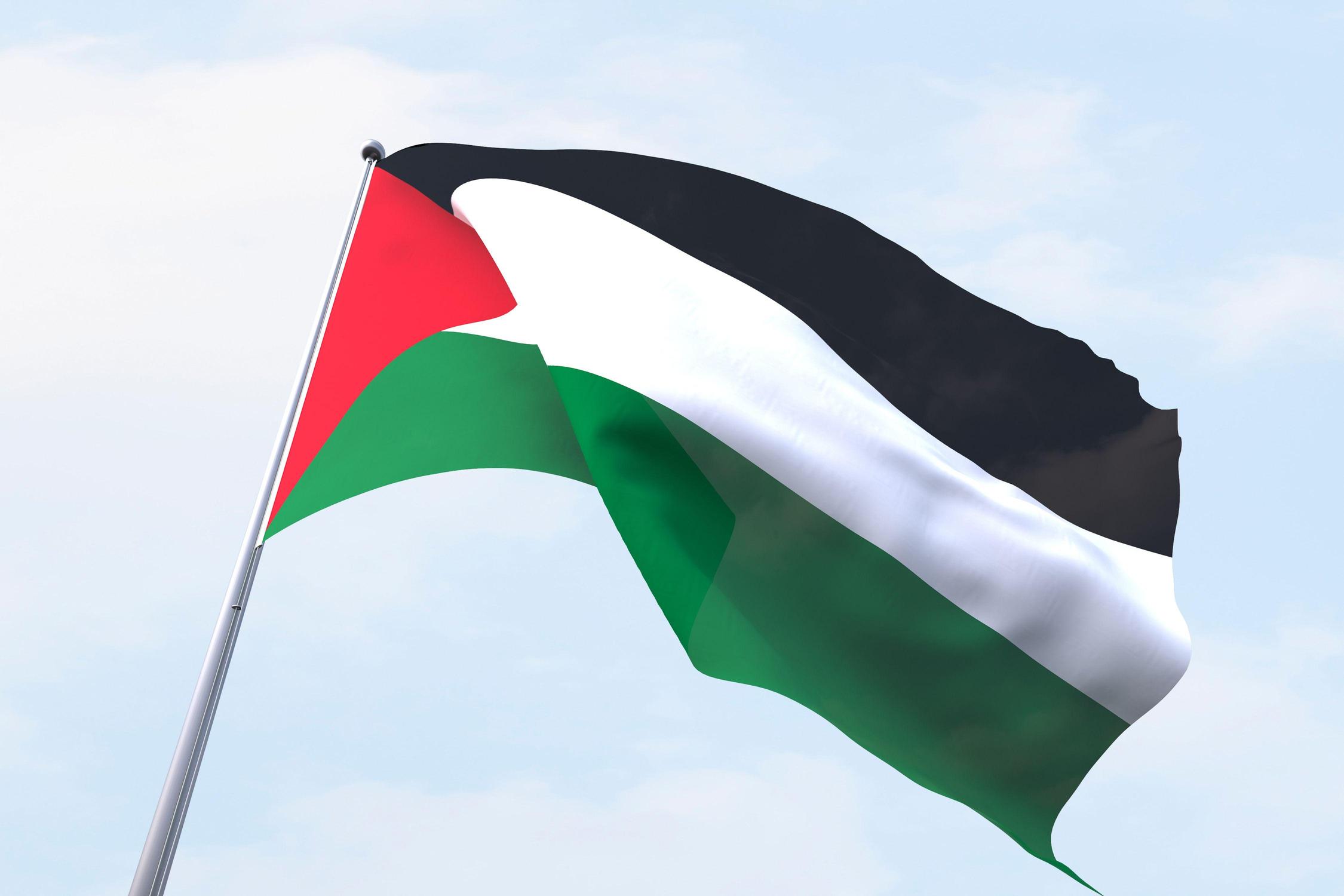 The flag of palestine is waving in the wind against a blue sky .