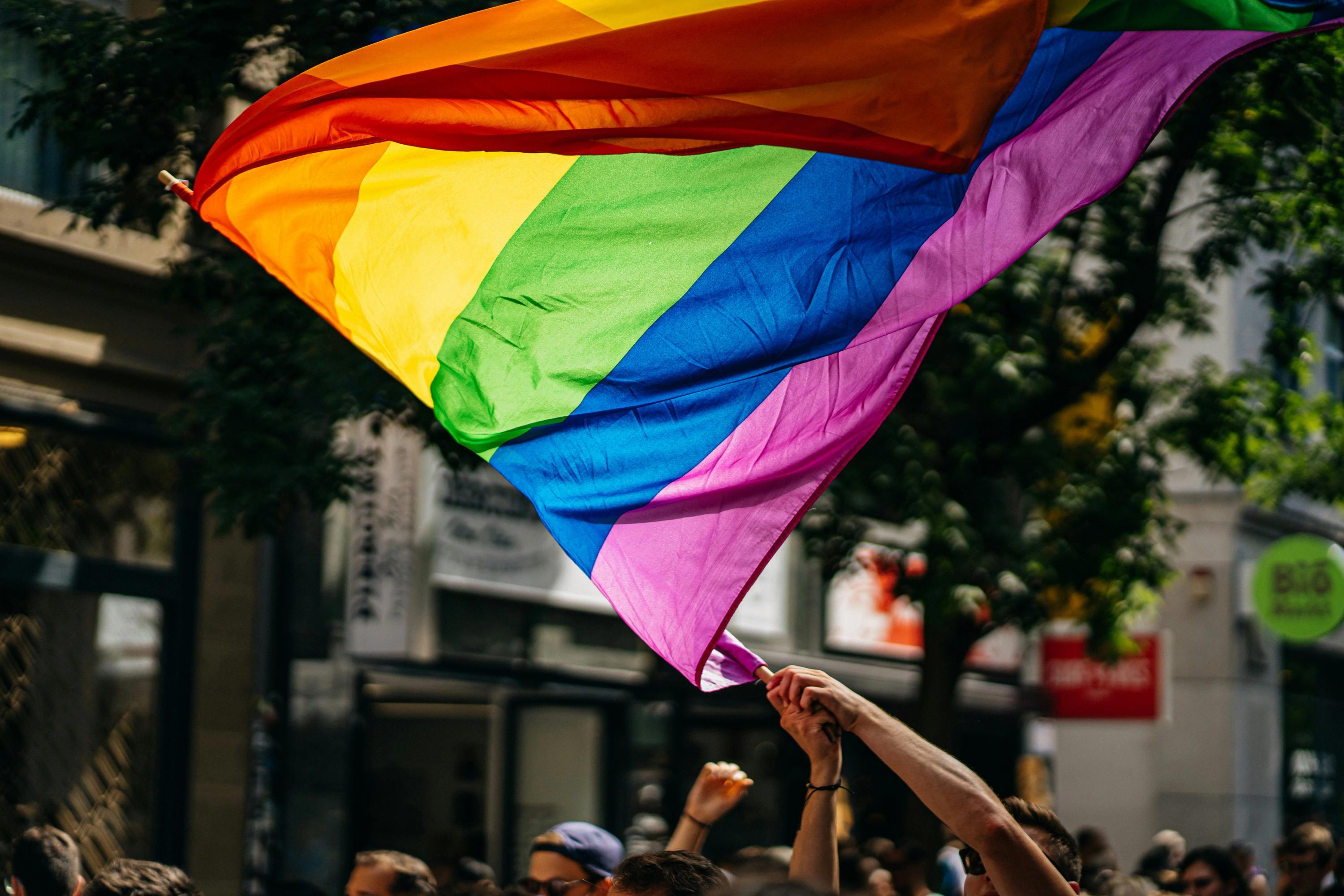 a group of people are holding a rainbow flag in the air .