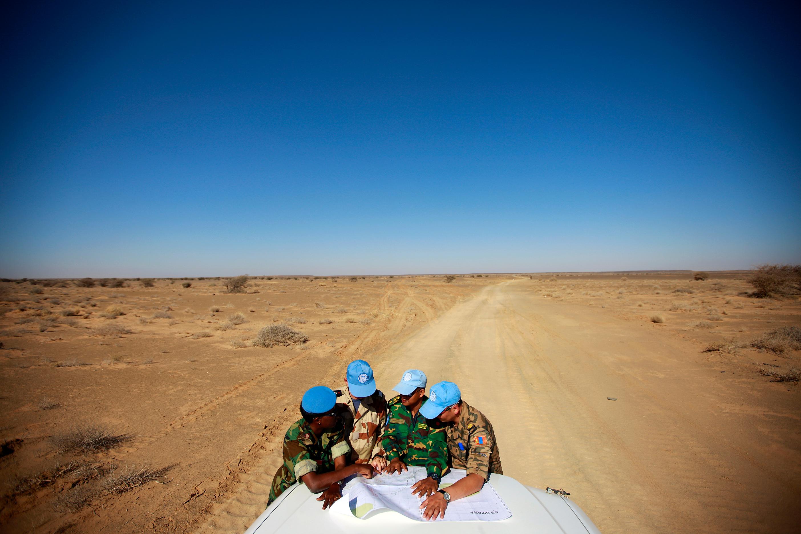 ​SAIH seeks report writer: Human rights violations in Western Sahara