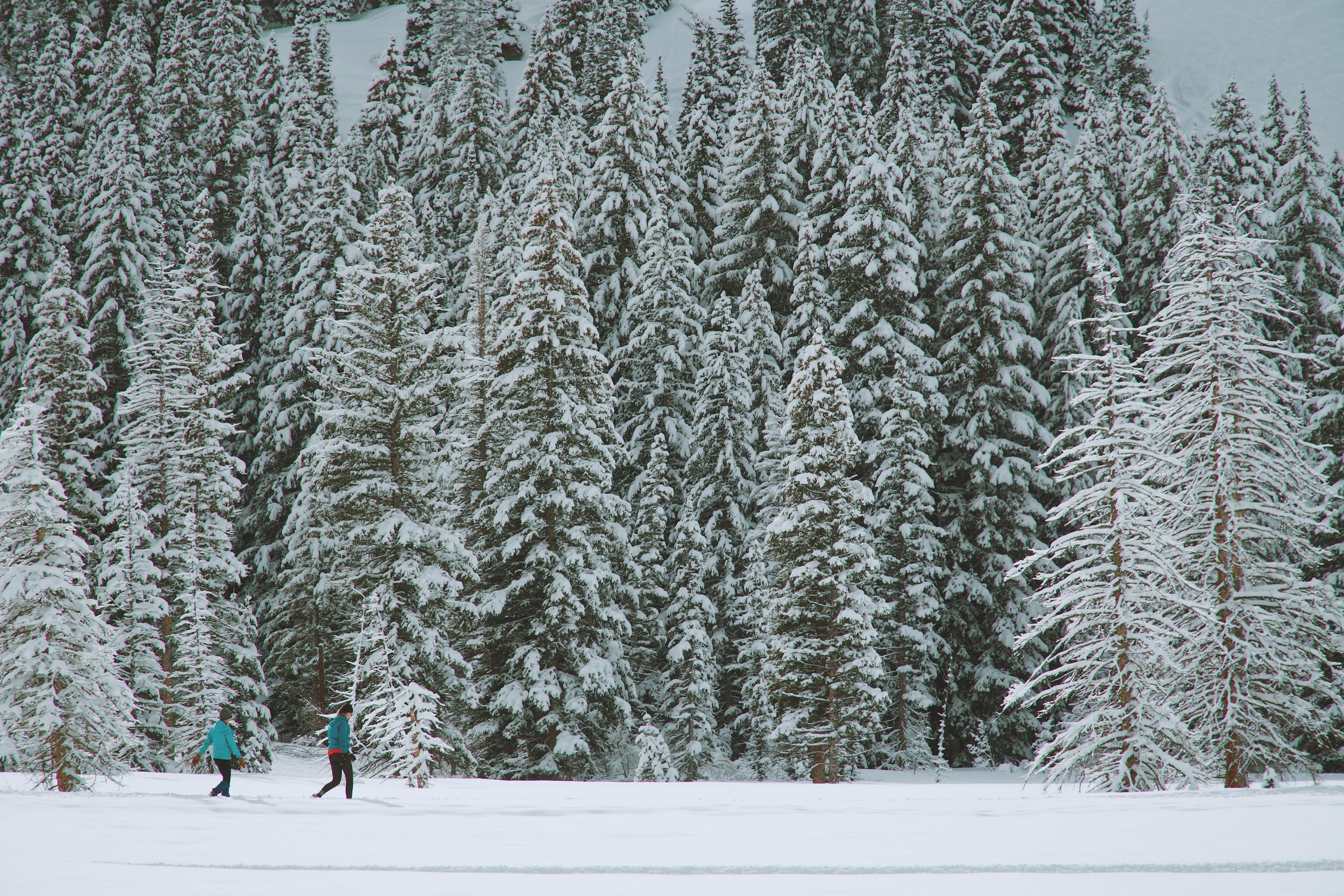 To mennesker på skitur i et snøkledd landskap.