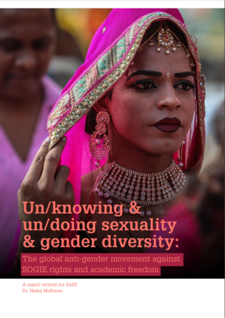 Report cover page: Unknowing & undoing sexuality & gender diversity (2020)