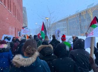 A group of people walking in the snow, holding flags to show unity and solidarity with Palestine.