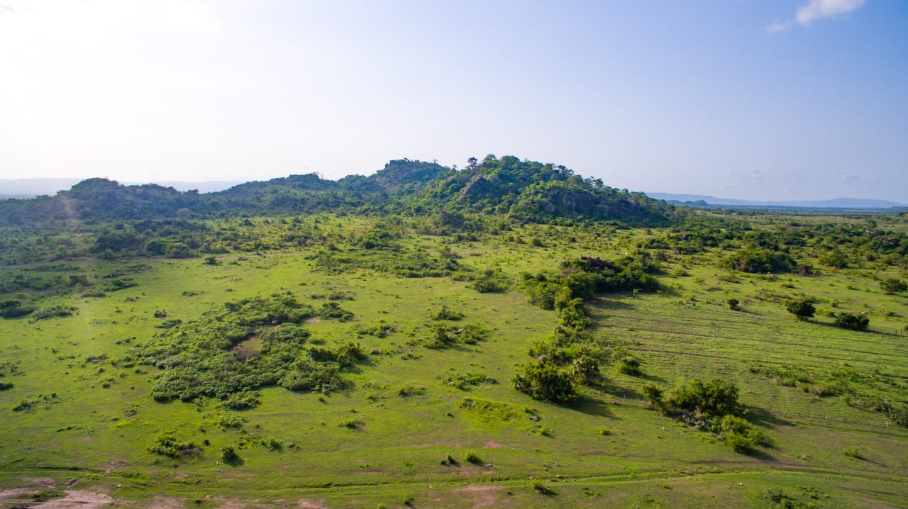 Land in Shai Hills