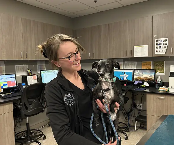 A woman in glasses holds a small black and white dog in a veterinary office with computer stations in the background.