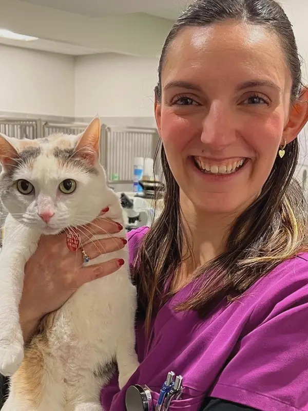 Woman vet in a pink scrub top smiles while hugging a white cat in a clinical setting.