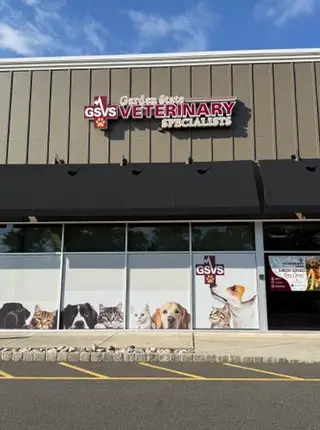 Garden State Veterinary Specialists Morristown