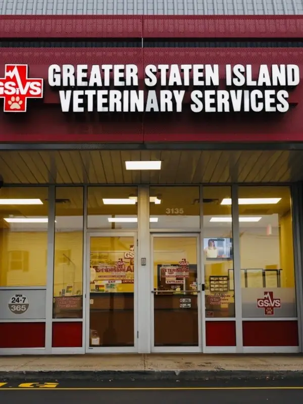 Front entrance of Greater Staten Island Veterinary Services with the GSVS logo above the door.