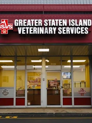 Greater Staten Island Veterinary Services
