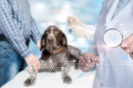 Tramadol for Dogs: When Side Effects Signal an Emergency