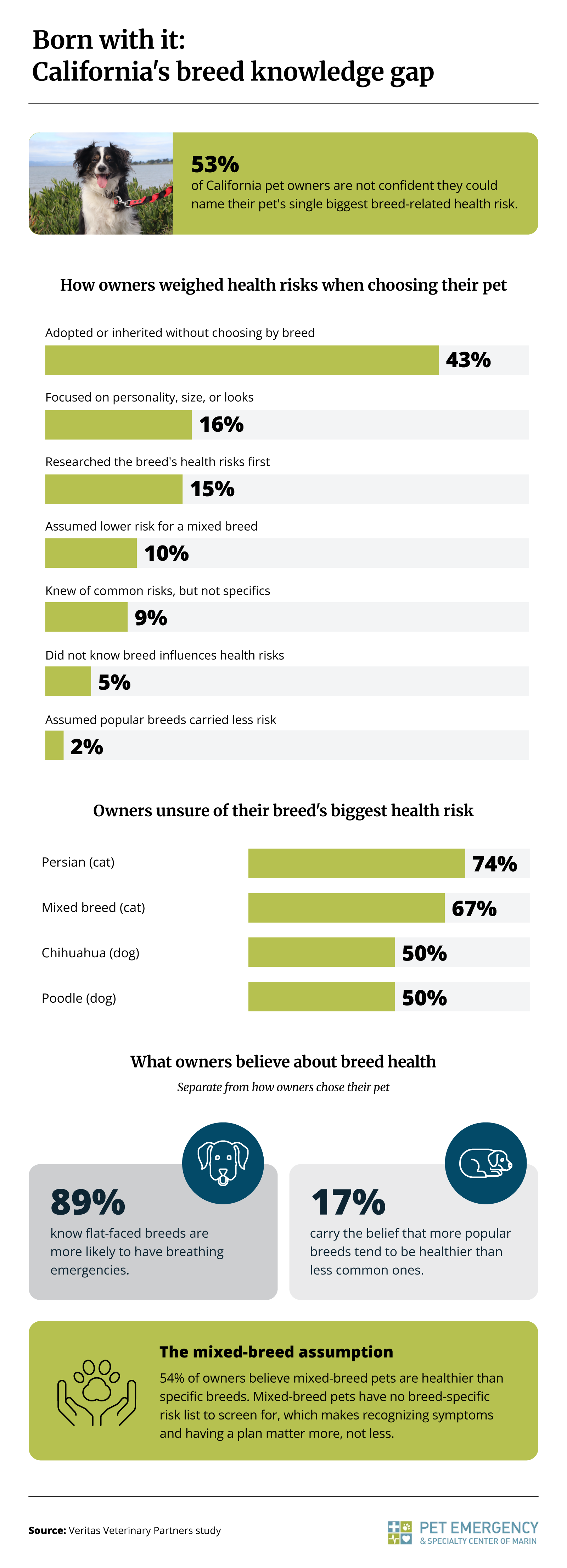 Infographic showing how confident California pet owners are in naming their pet's biggest breed-related health risk and what they believe about breed health.