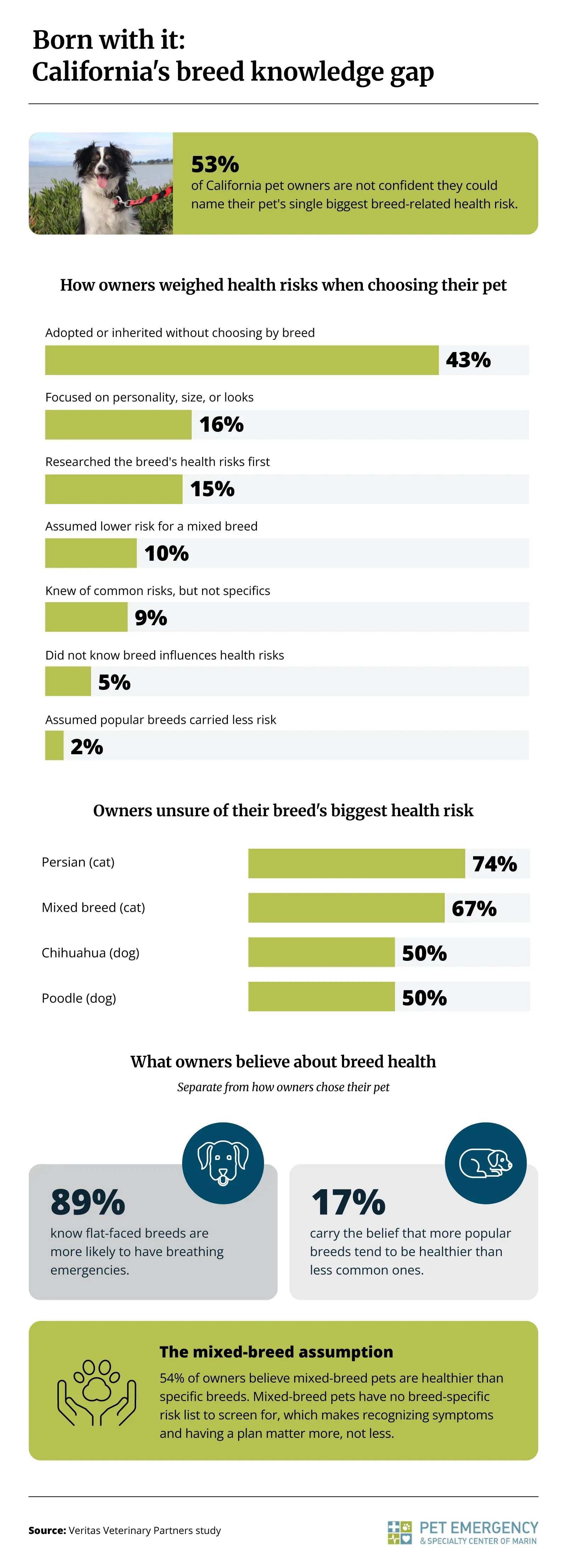Infographic showing how confident California pet owners are in naming their pet's biggest breed-related health risk and what they believe about breed health.
