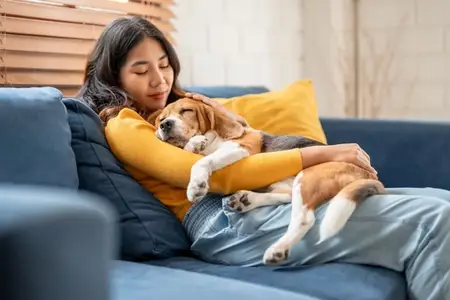Dog Anal Gland Infection: How Serious Is It?