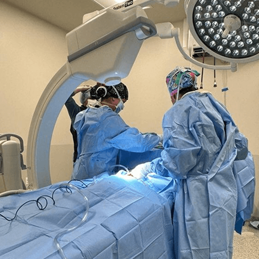Two veterinary professionals performing a surgical procedure in an operating room.