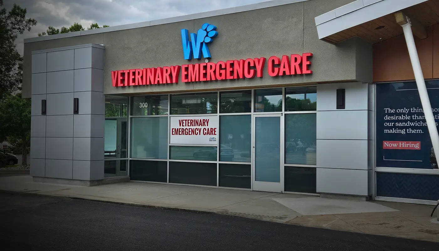 Exterior of a veterinary emergency care facility with large glass windows and bold signage.