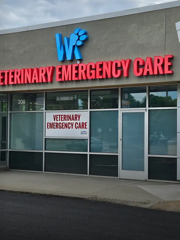 Exterior of a veterinary emergency care facility with large glass windows and bold signage.