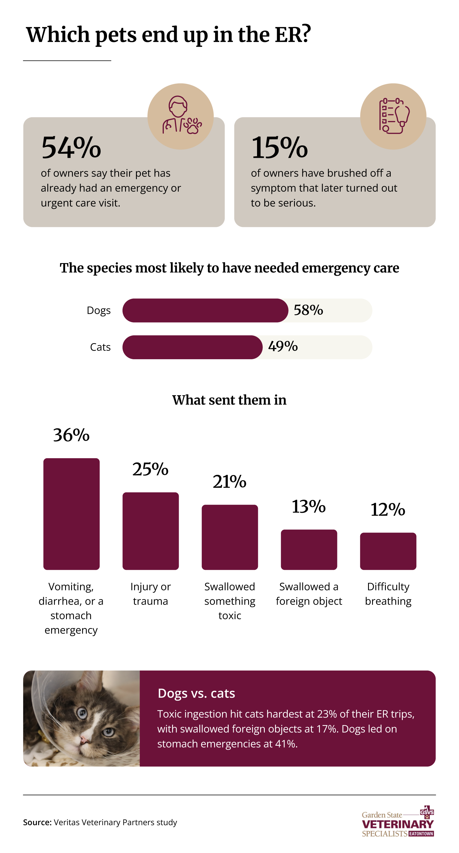 Infographic ranking the New Jersey and Staten Island pets with the highest need for emergency care and the most common causes of local pet ER visits.