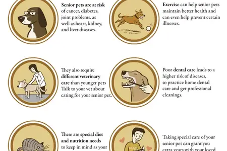 Senior Pets