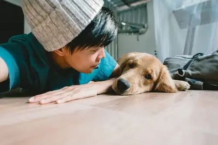 Dog Throwing Up White Foam: What Steps to Take Now