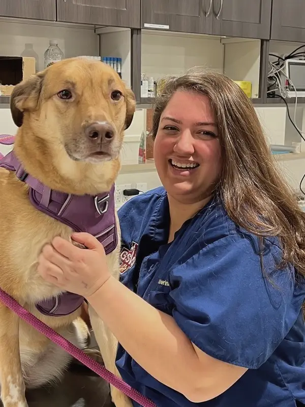 Veterinary professional hugs a brown dog with a purple harness.