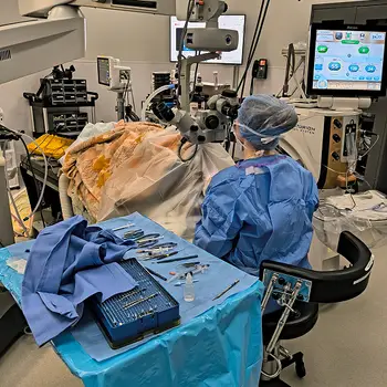 Veterinary professional performing a procedure in a clinical setting with medical equipment around them.