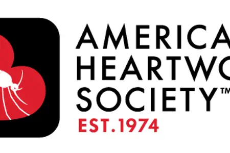 How Can I Protect My Dog Against Heartworms?