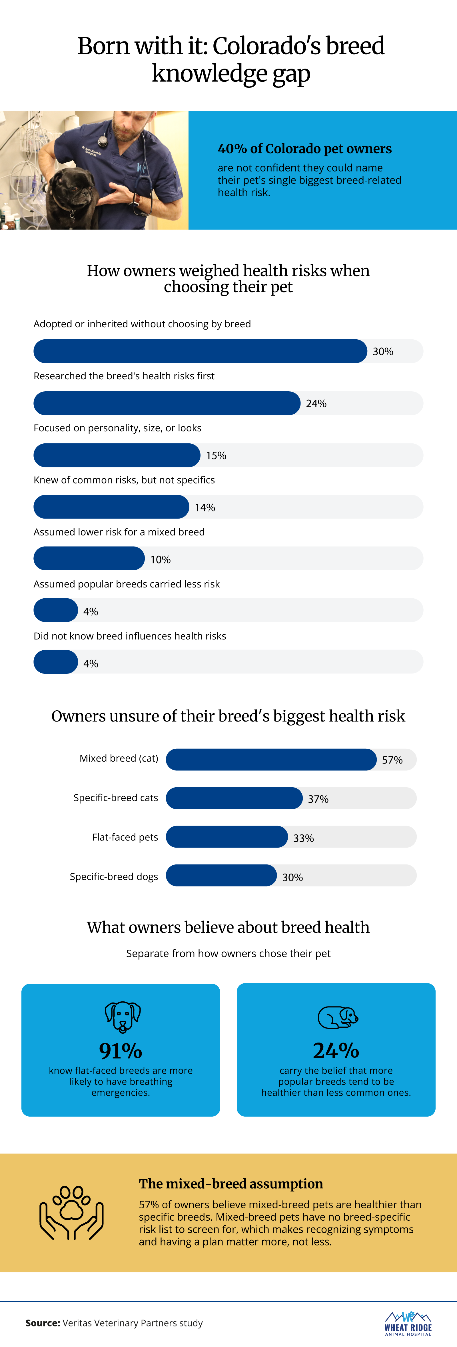 Infographic showing how confident Colorado pet owners are in naming their pet's biggest breed-related health risk and what they believe about breed health.