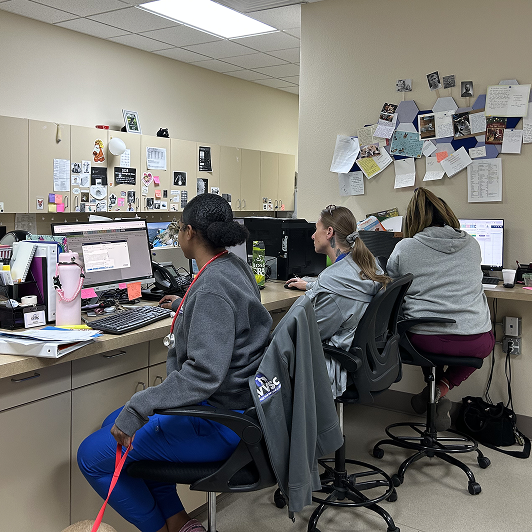 Three veterinary professionals in a clinical office setting.