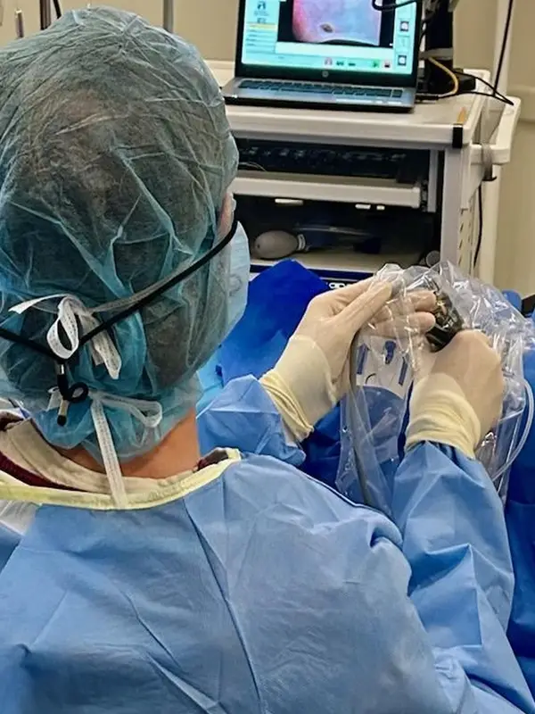 A vet in surgical scrubs looks at a monitor in a surgery setting, as seen from behind.