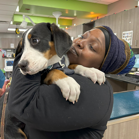 Person holding a black, white, and brown dog in a clinical setting.