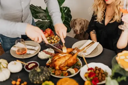 Thanksgiving Feast or Fiasco? Foods to Share - and Avoid - with Your Pets