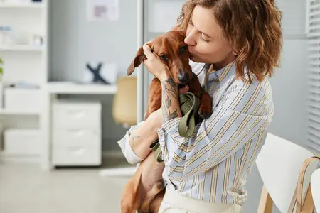 Paraphimosis in Dogs: Is It a Pet Emergency?
