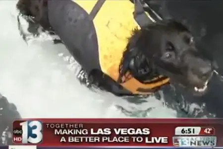 LVVSC Featured on Channel 13 News