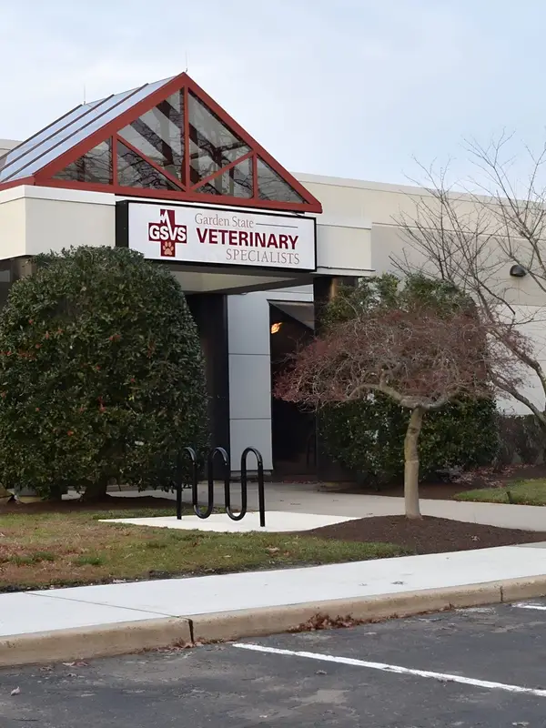 Exterior of a veterinary specialty center with a glass atrium entrance and a landscaped front.