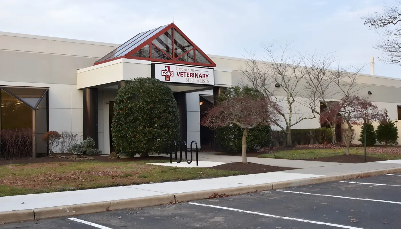 Exterior of a veterinary specialty center with a glass atrium entrance and a landscaped front.