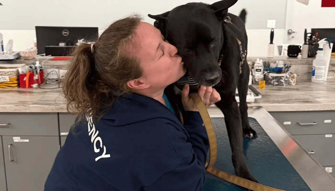 A vet with a blue jacket reading "Emergency" across the back kisses a large black dog in a clinical setting.