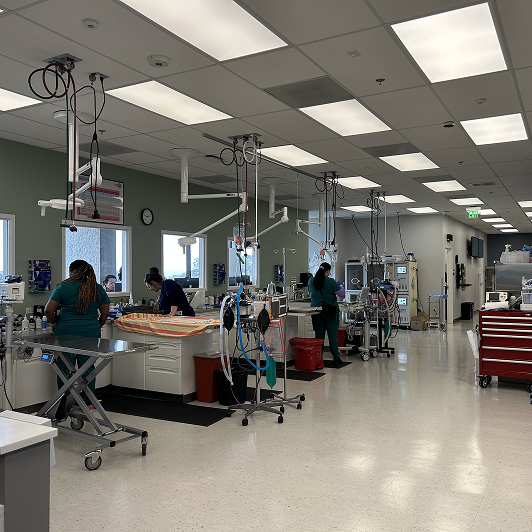 Veterinary professionals in a clinical exam room with medical equipment around them.