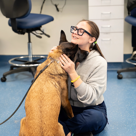 A staff member in blue scrubs cuddles with a German Shepherd on the vet clinic floor.