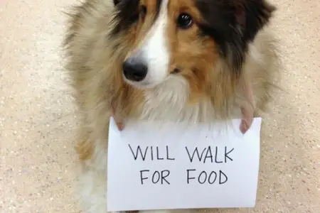 Gus Gus Gets A New Life